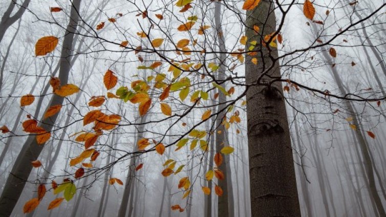 През уикенда - вятър, облаци мъгла и дъжд