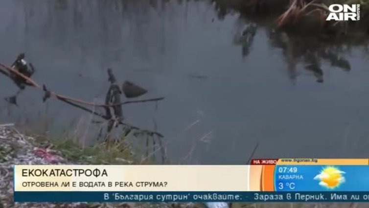 Умряла риба в р. Струма: Отровна ли е водата?