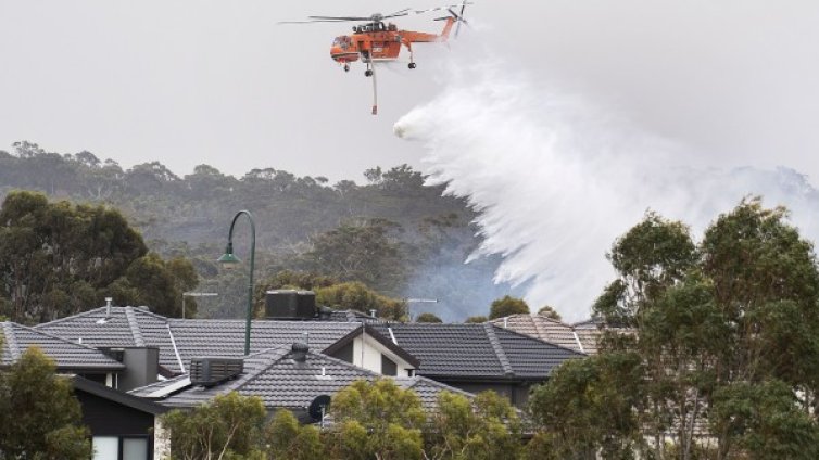 Поредната жертва на пожарите в Австралия 