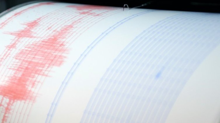Трус с магнитуд 5,1 разтърси Южен Иран