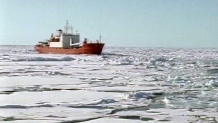 Кога се посреща Нова година на Северния полюс?