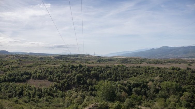 ЧЕЗ приключи още един етап от проекта за опазване на птици