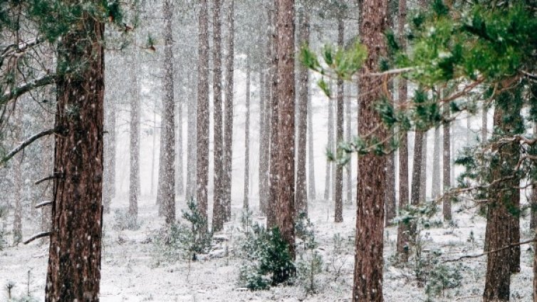 В понеделник сутринта градусите падат до -9&deg;C