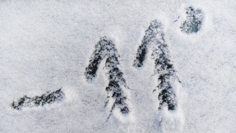 С - 11&deg;C София беше най-студената европейска столица сутринта