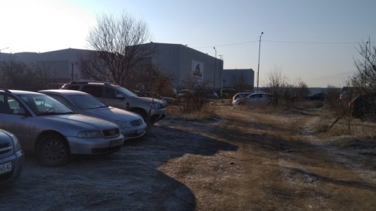 Зимен Helpbook: Бездомни кучета, паркиране между шипки и дръвчета