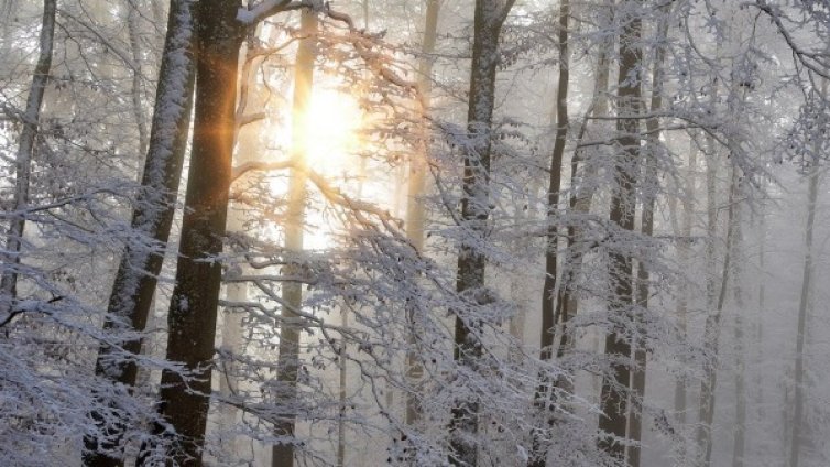 В събота ще е облачно, но пък градусите ще са до 13&deg;C