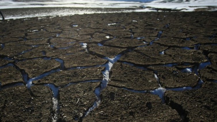 Номинацията на Емил Димитров - Ревизоро за министър - логична