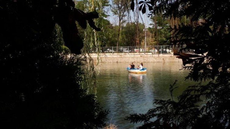 Ремонт в Борисовата градина, ще оправят и Езерото с лилиите