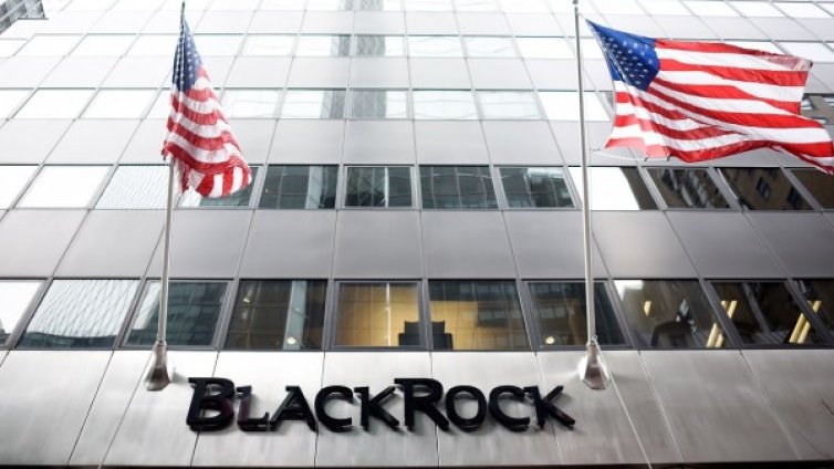 Кърваво писмо на BlackRock до бизнеса: Станете еко, или сте аут! 