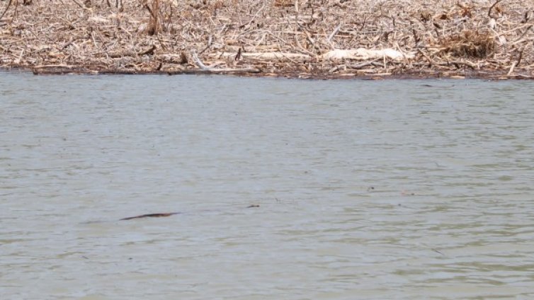 Криза с водата в Рио де Жанейро при температура 40&deg;C