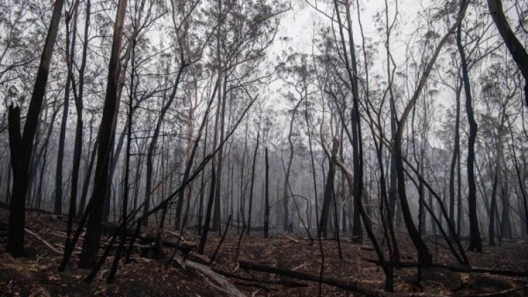 Климатичните кризи наподобяват финансовите 