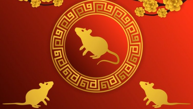 Годишен хороскоп за годината на Белия Метален Плъх 