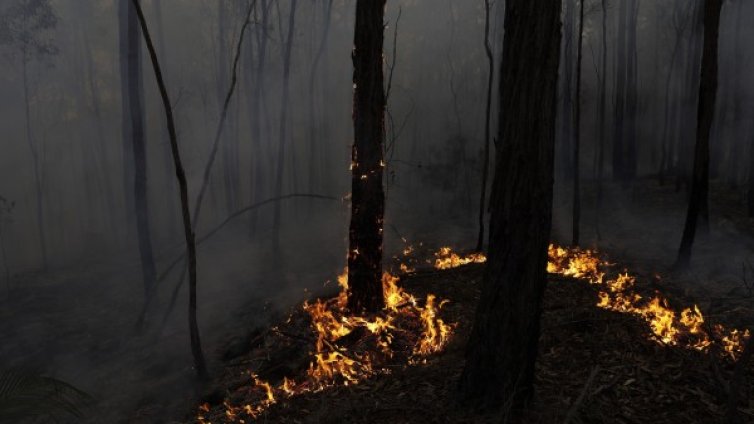 Шестима пожарникари пострадаха при катастрофа в Австралия