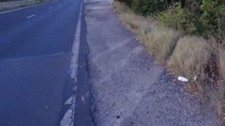 Кола се удари в камион с коне на пътя София – Варна