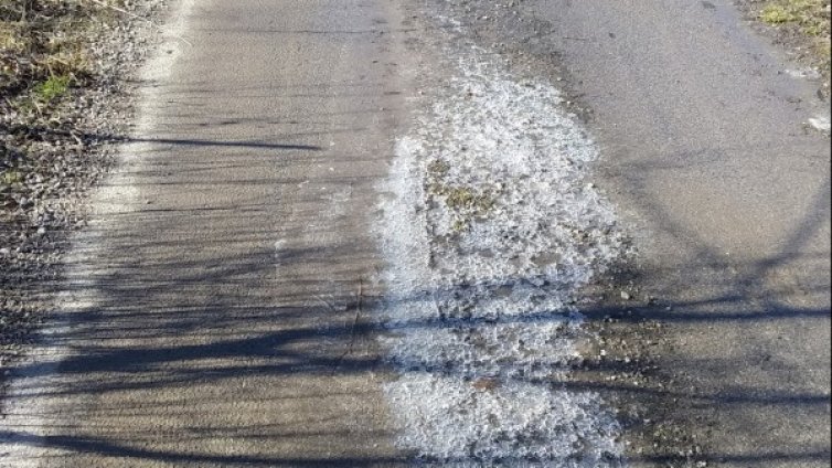 Helpbook алармира: Бездомни кучета, фекални води, сметища