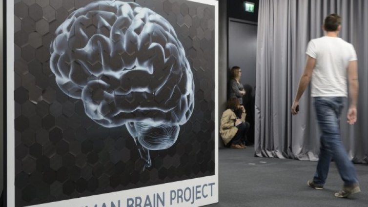 Учени откриха как се забавя стареенето на мозъка