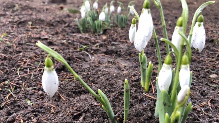 Денят в снимки - 12 февруари