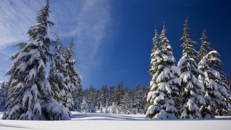Зимата се завръща в четвъртък и петък със слаб сняг 