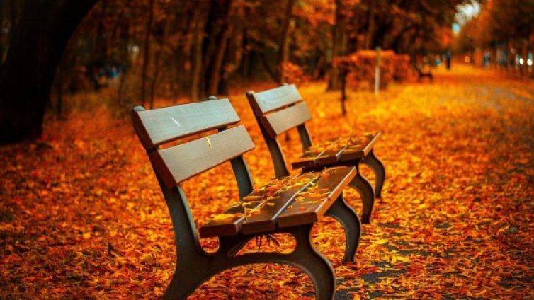 Ремонт на Борисовата градина? Не за строителство, а за възстановяване