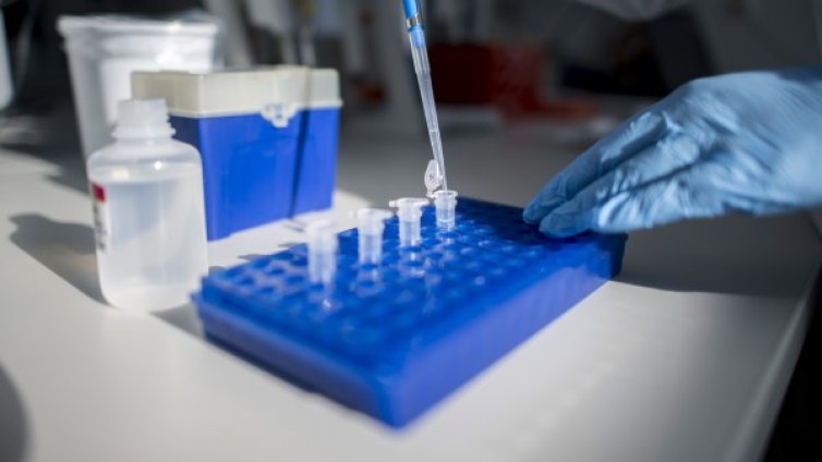 Страх ли ни е от коронавируса? 1/4 са загрижени, за 10% &ndash; поредният грип 