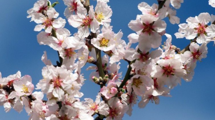 Мартенското време: Очакват ни температури от минус 8&deg; до плюс 25&deg;