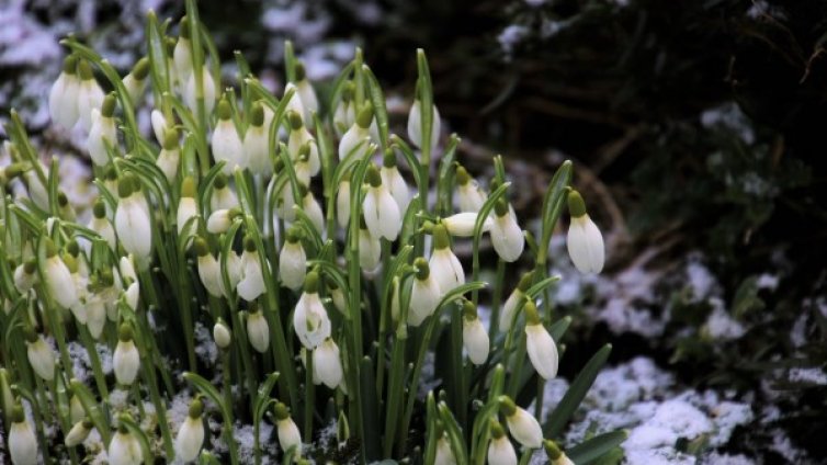 Топло време на националния ни празник, градусите до 25&deg;C