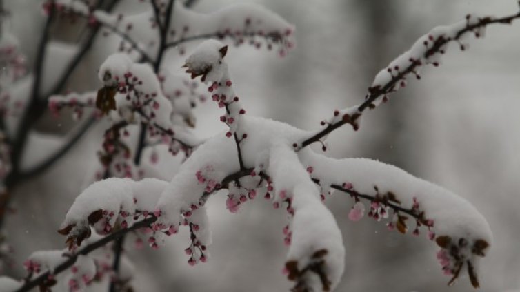 Валежите от сняг спират, но остава студено
