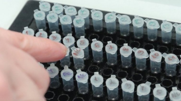 Болните от COVID-19 у нас &ndash; под карантина за 28 дни