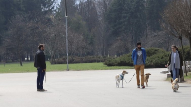 Строги мерки в Стара Загора: Най-много по двама и без разходки на кучета