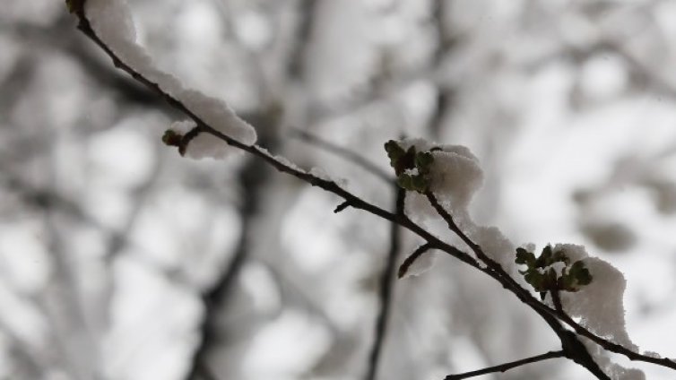 Времето остава студено, валежите ще спират