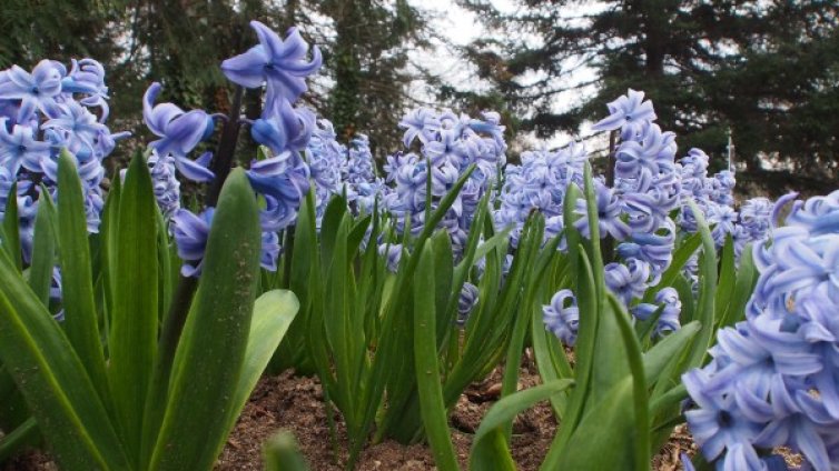 Слънцето се показва, температури до 15&deg; утре