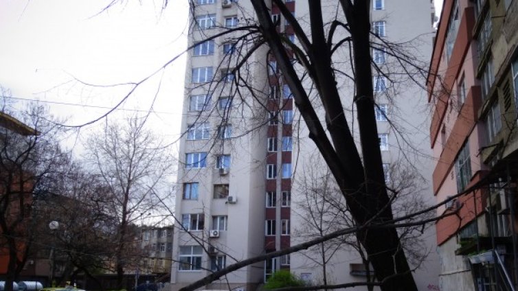 Силният вятър в Добрич нанесе щети