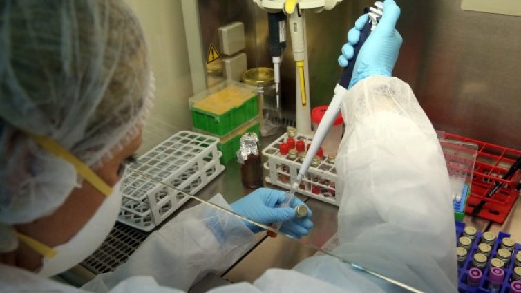 Над 10% смъртност &ndash; в кои държави в ЕС умират най-много хора?