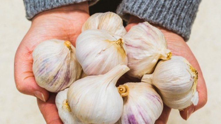 Суров чесън за здраво сърце и при висока кръвна захар 