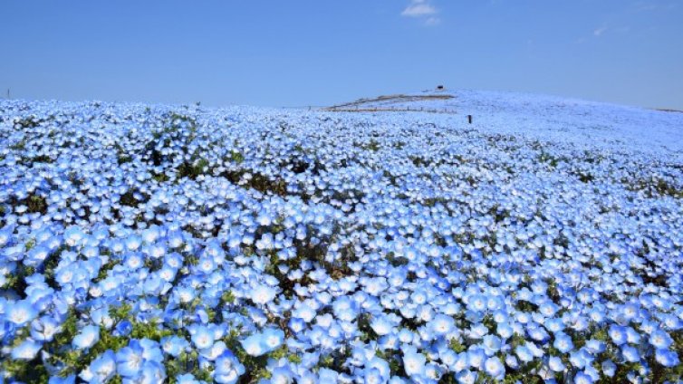 Как коронавирусът промени Земята и я направи по-чиста и по-тиха