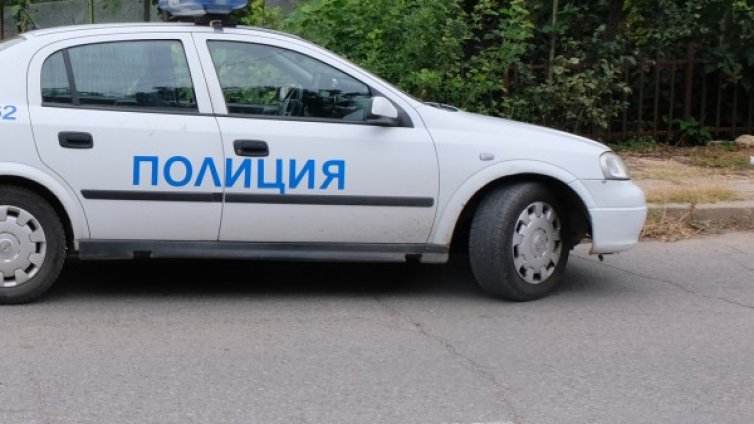 Издирват бракониери, убили 3 благородни елена