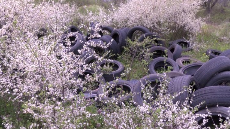 Гуми и седалки от коли бяха запалени в Русе
