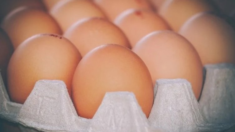 Шуменец с отнета книжка вилня със сурови яйца в КАТ