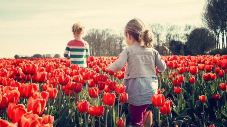 Пролетна и топла неделя с температури до 27 градуса