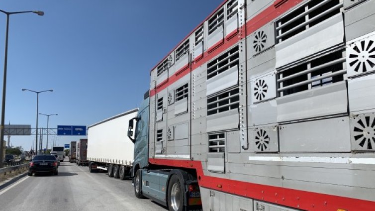 Отпадна забраната за влизане в България от Турция