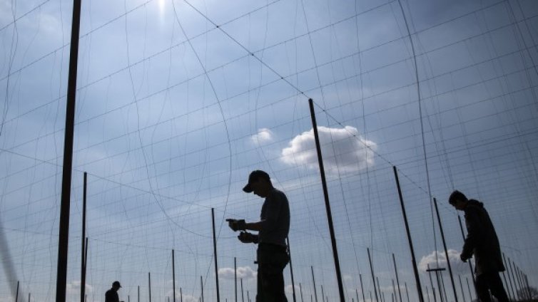 Германия позволи влизането на сезонни работници от България 