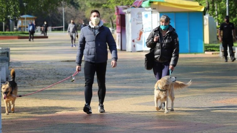 Софиянци осиновяват кучета от приюти, за да се разхождат