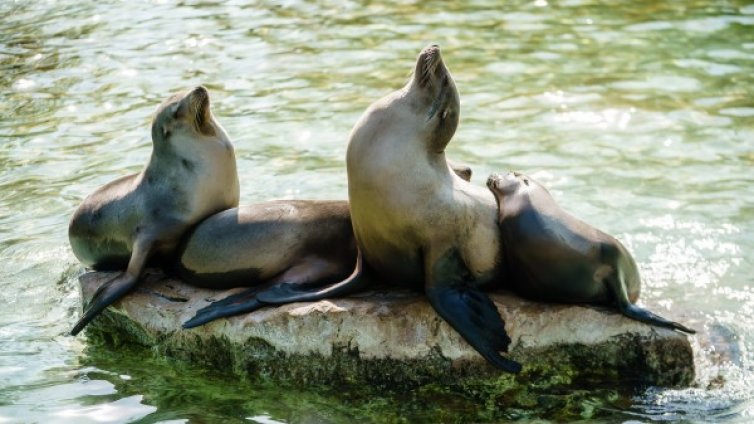 Денят в снимки - 28 април