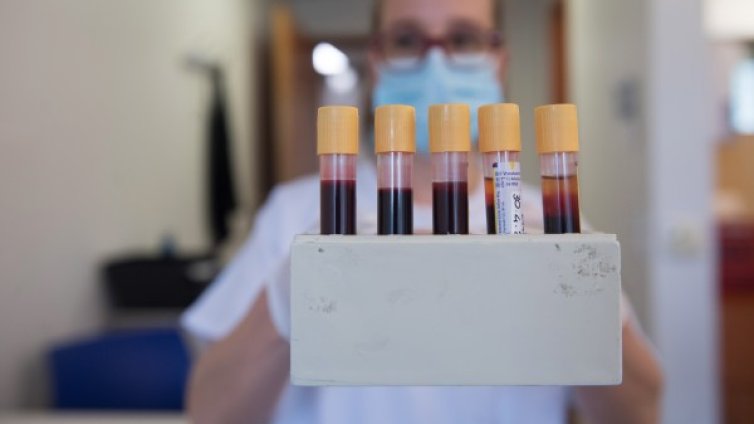 Ще помогне ли кървната плазма в битката с коронавируса?