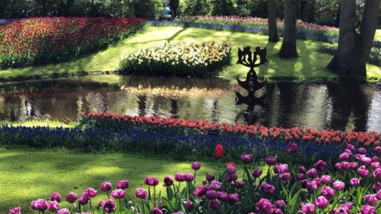 Времето утре: Слънчево и топло, с температури до 31&deg;С