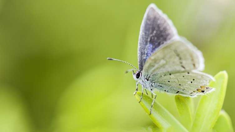 Седмицата започва с летни температури до 30 градуса