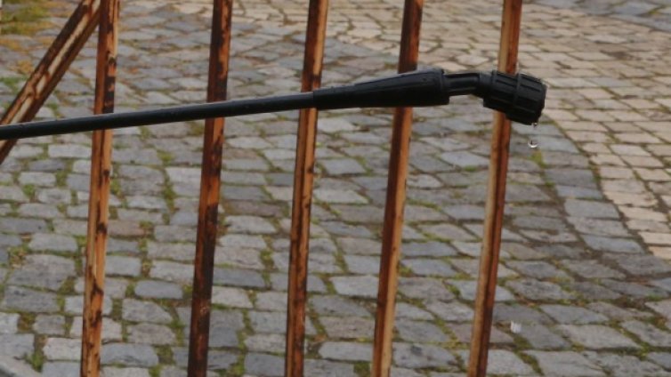 Дезинфектират Бургас с препарат със защита цяла година