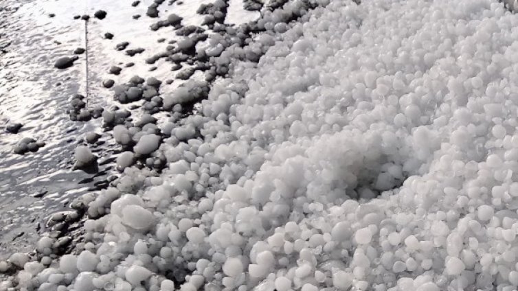 След градушката в Годеч: Щети, унищожена продукция