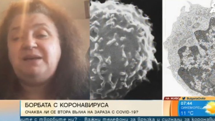 Как мутира коронавирусът на различните континенти?