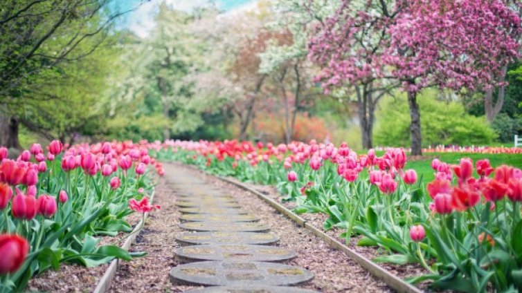 Седмицата приключва с топло и слънчево време 